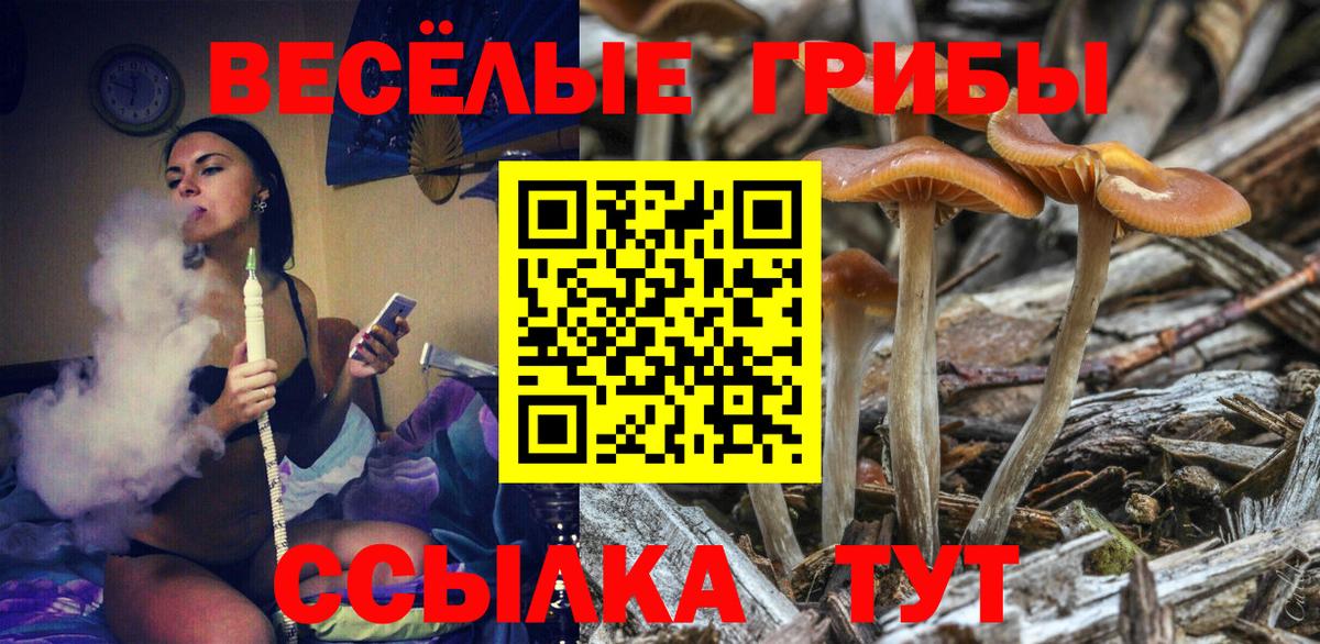 Псилоцибиновые грибы MAGIC MUSHROOMS  Вход с VPN  Псилоцибиновые грибы Cubensis  Электрогорск 